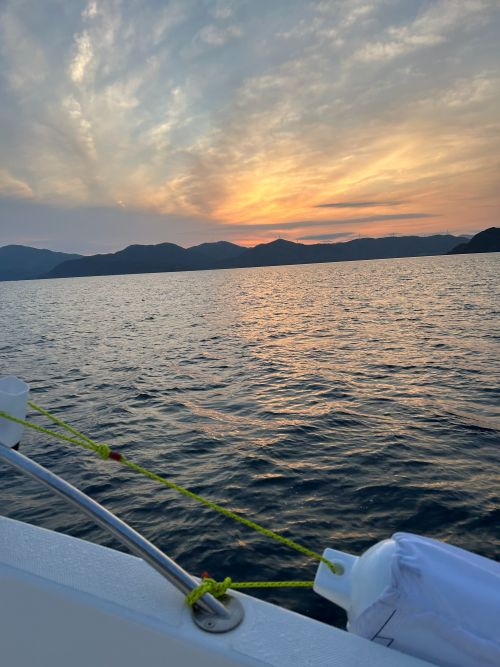 写真1