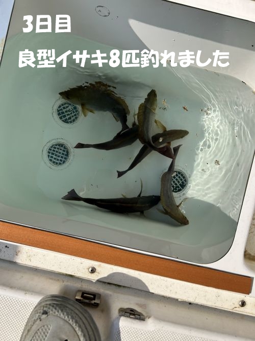 写真4
