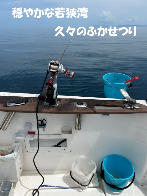 写真1